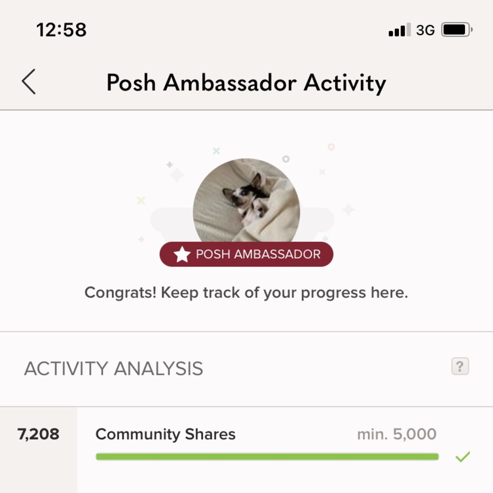 Posh Ambassador 🎈🎈💌💌